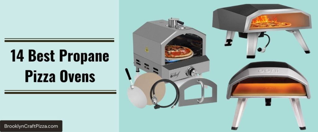 The 14 Best Propane Pizza Ovens In 2023 (Reviewed & Compared)