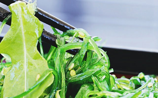 Is Seaweed Vegan? Is Seaweed Healthy or Harmful – Complete Information on Seaweed