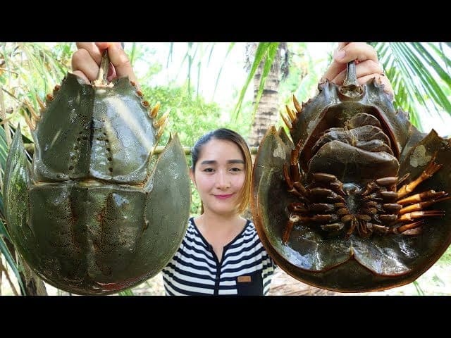 Is Horseshoe Crab Edible?